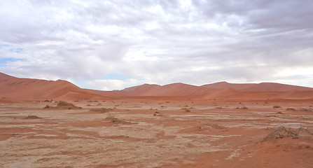 Image showing desert landscape