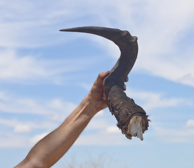 Image showing horn in a hand