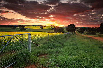 Image showing Sunrise farmlands Australia