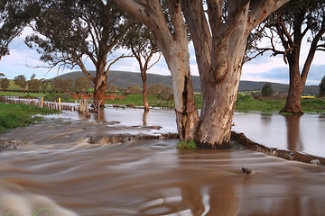 Image showing Muddy floodwaters Australia