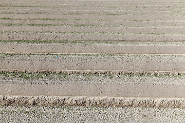 Image showing furrows in the field