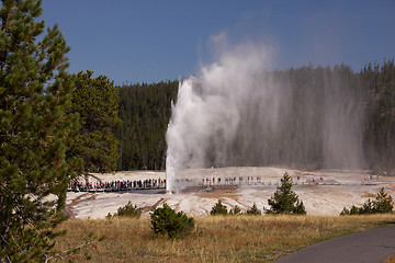 Image showing Yellowstone National Park, Utah, USA