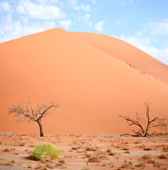 Image showing sand dune