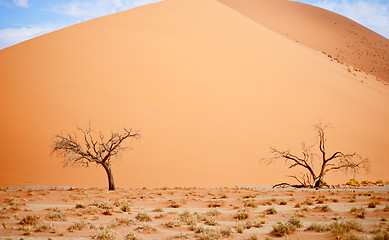 Image showing sand dune