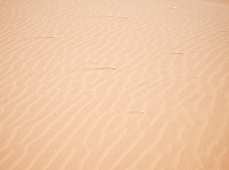 Image showing sand background