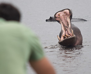 Image showing photog and hippo