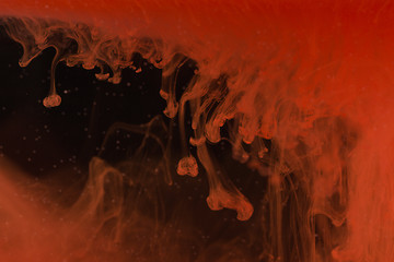 Image showing Red paint drops in the water