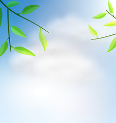 Image showing Natural Background with Branch Tree