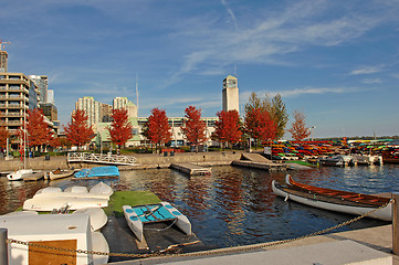 Image showing Red autumn trees on the yacht harbor.