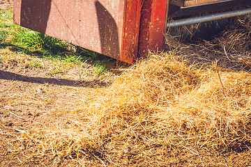 Image showing Golden hay at a stable