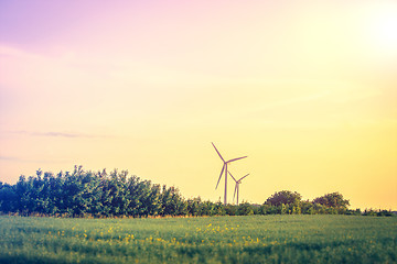 Image showing Windmills on a meadow