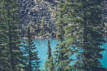 Image showing Pine trees by a mountain lake