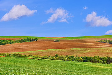 Image showing Fields under Sky