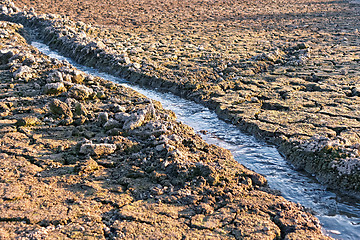 Image showing Water stream among dried cracked earth