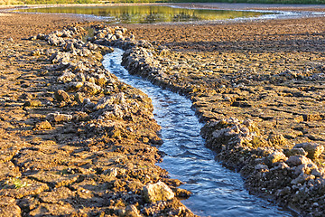 Image showing Water flows into the pond shrinking