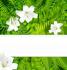 Image showing Frame branch tropical leaves and white flowers lily