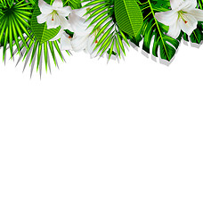 Image showing Frame branch tropical leaves and white flowers lily