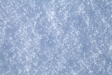 Image showing Snow texture, macro