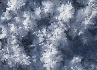 Image showing Snow crystals on the ground 