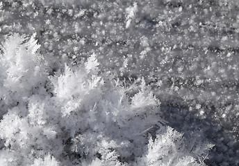 Image showing Snow crystals on the ground 