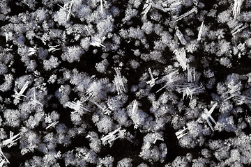 Image showing Snow crystals on the ground 