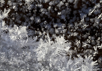 Image showing Snow crystals on the ground 