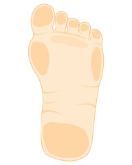 Image showing Foot of the person