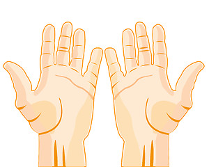 Image showing Stretched palm of the person