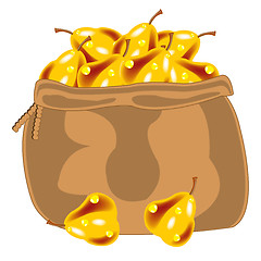 Image showing Yellow pear in bag