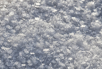 Image showing Snow texture, macro