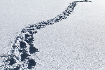 Image showing Footsteps in the snow