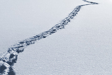 Image showing Footsteps in the snow