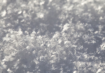 Image showing Snow texture, macro