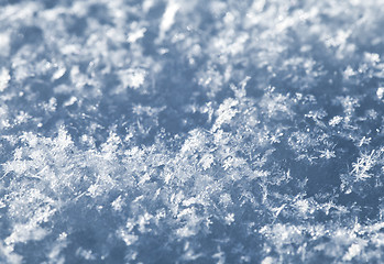 Image showing Snow texture, macro