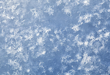 Image showing Snow texture, macro