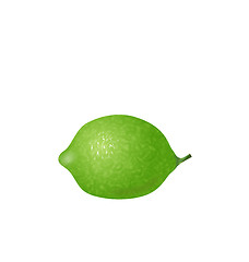 Image showing  Photo Realistic Lime Isolated 