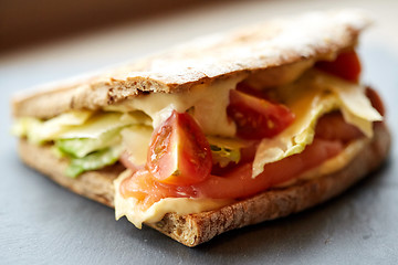 Image showing salmon panini sandwich on stone plate