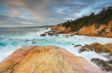 Image showing Bermagui Coastline