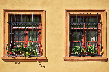 Image showing Windows with Flowers