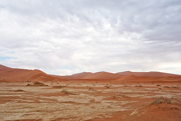 Image showing desert landscape