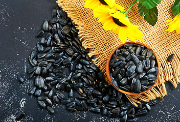 Image showing sunflower seed