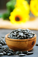 Image showing sunflower seed