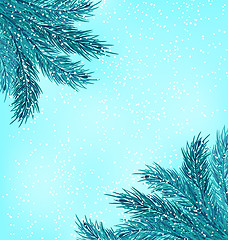 Image showing Winter Natural Background with Fir Branches