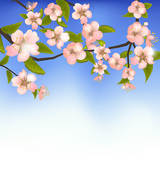 Image showing  Spring Background of a Blossoming Tree Branch with Flowers