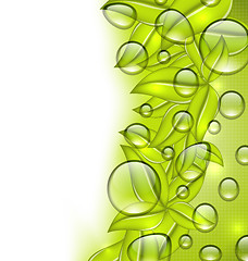 Image showing Water drops on fresh green leaves texture, copy space for your t