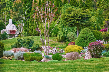 Image showing Garden with Different Plants