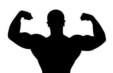 Image showing Silhouette of bodybuilder