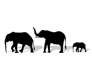 Image showing Group of elephant