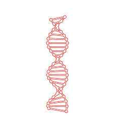 Image showing DNA Molecules Isolated on White