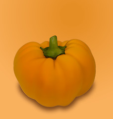 Image showing Pumpkin Vegetable with Shadow